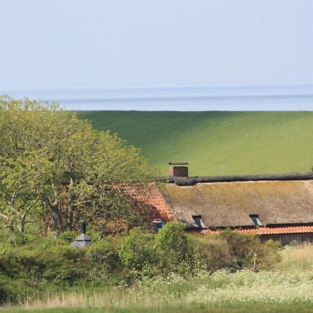 Gasthof Grosser Krug Norddeich  Εξωτερικό φωτογραφία